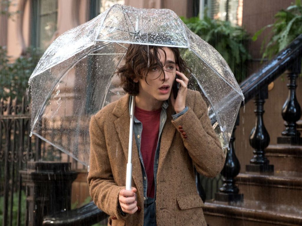 Timothée Chalamet in Un giorno di pioggia a New York
