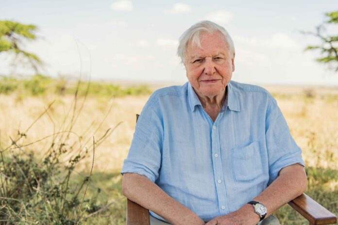 David Attenborough: una vita sul nostro pianeta recensione documentario Netflix