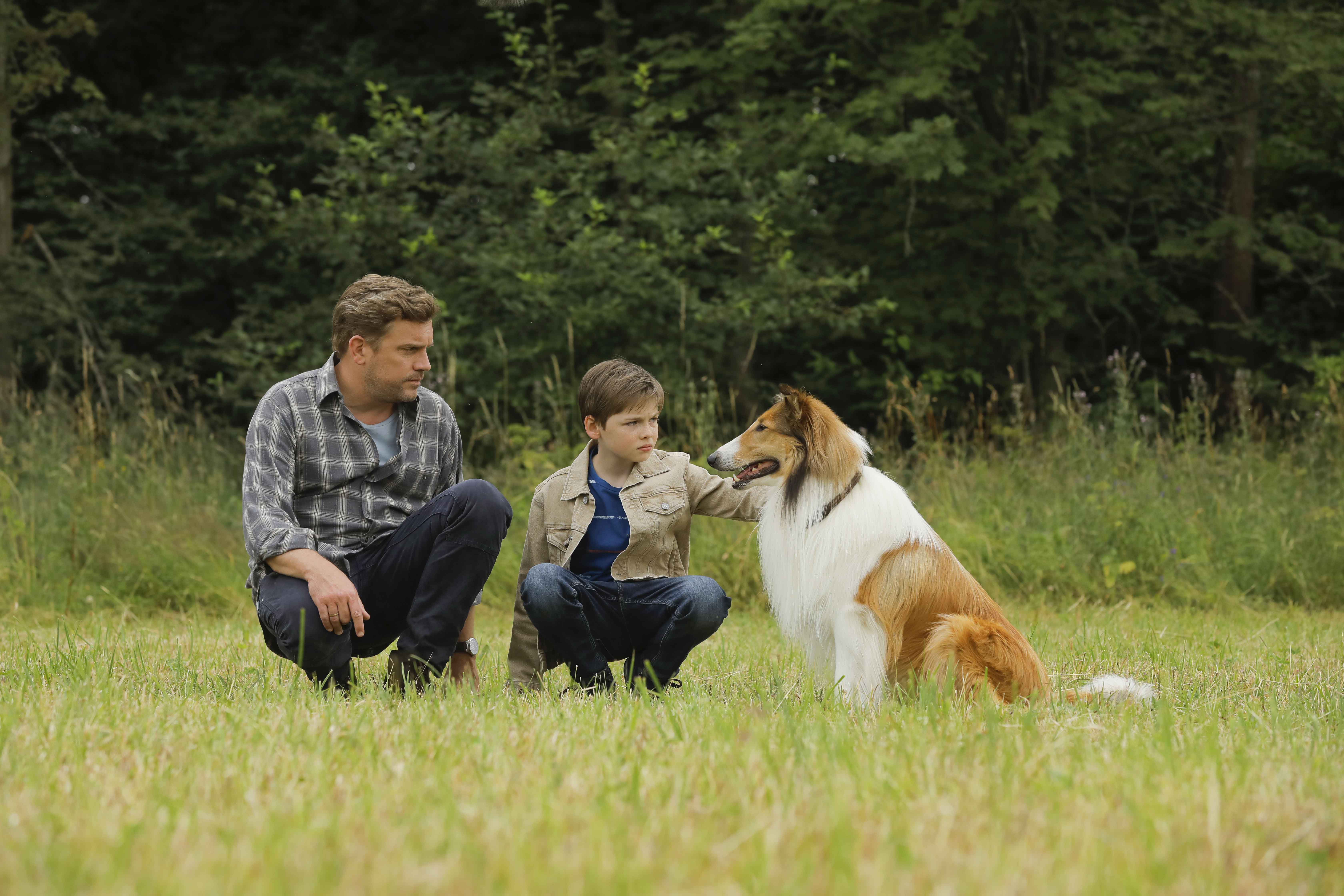 Lassie torna a casa recensione film di Hanno Olderdissen con Nico Marischka