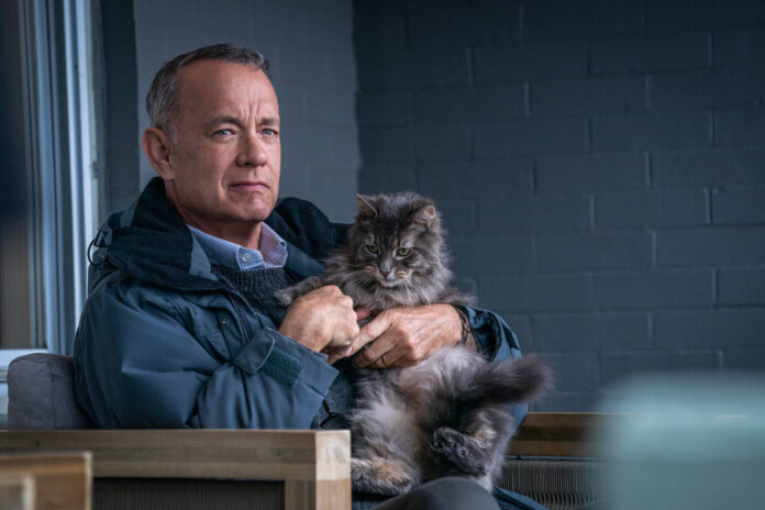 Tom Hanks con il gatto