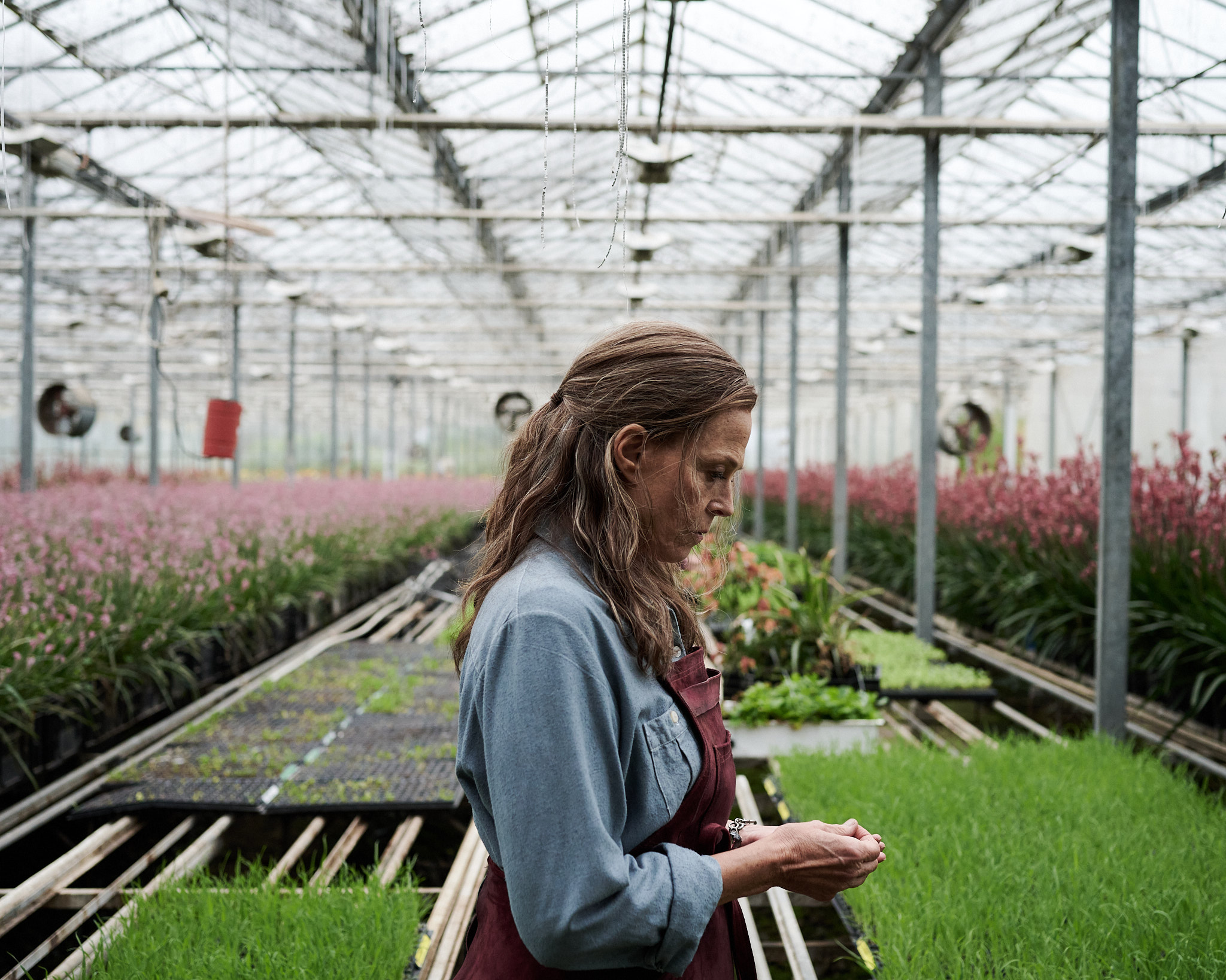 Sigourney Weaver è June in Ascolta i fiori dimenticati